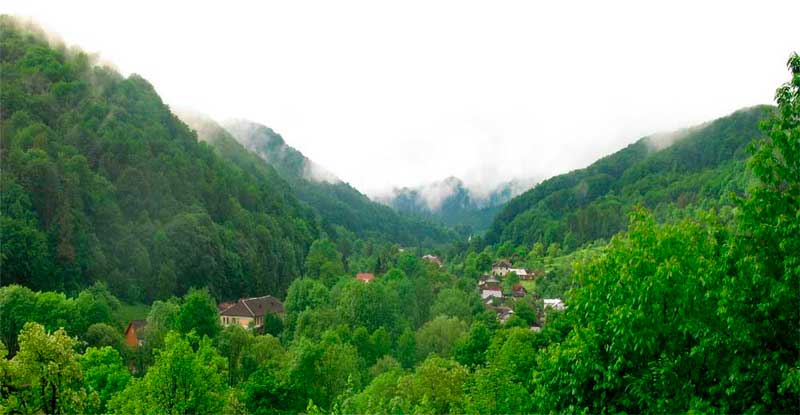 bukovyna-vyzhnytsya-vyzhenka