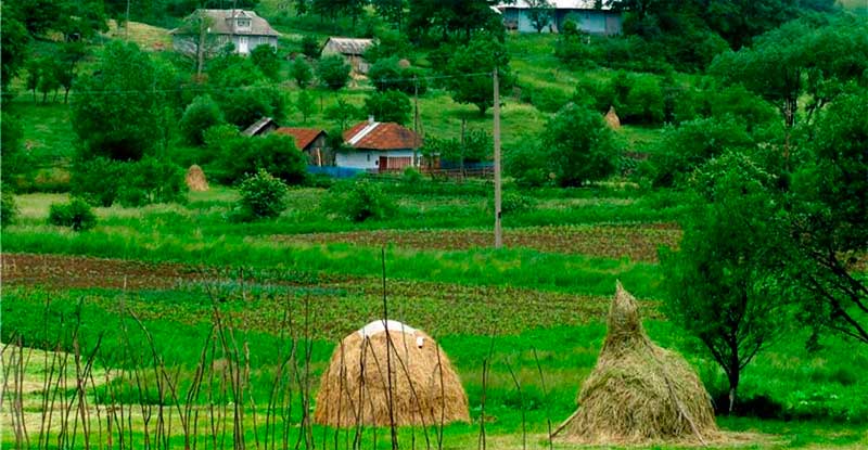 bukovyna-vyzhnytsya-voloka