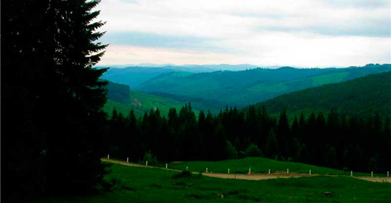 bukovyna-vyzhnytsya-lekechi