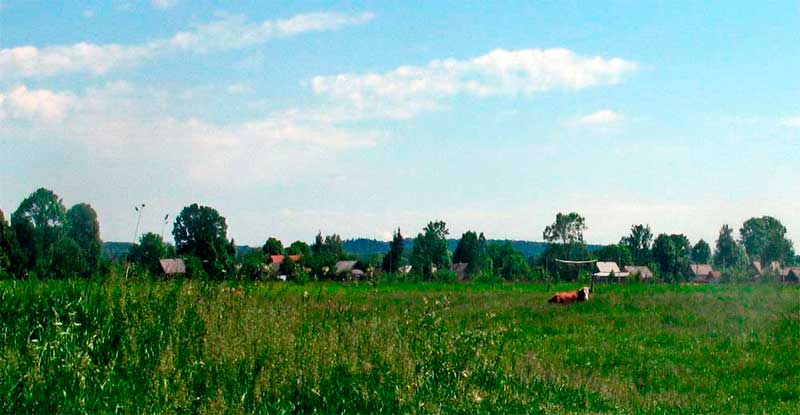 bukovyna-vyzhnytsya-lypovany
