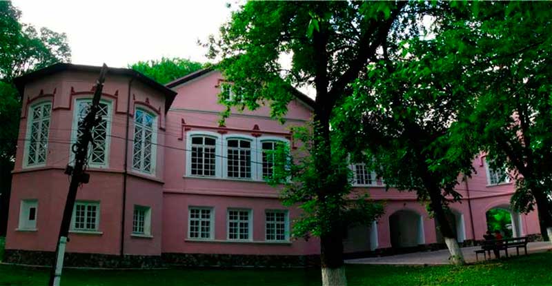 bukovyna-zastavnivschyna-vikno