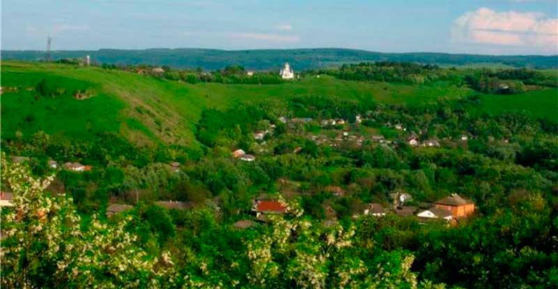 bukovyna-zastavnivschyna-chornyi-potik