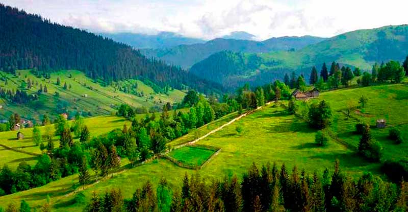 bukovyna-putylschyna
