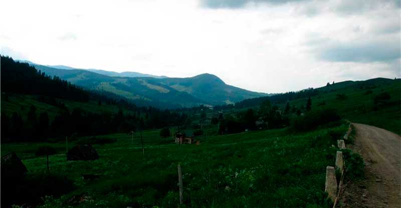 bukovyna-putylschyna-ploska