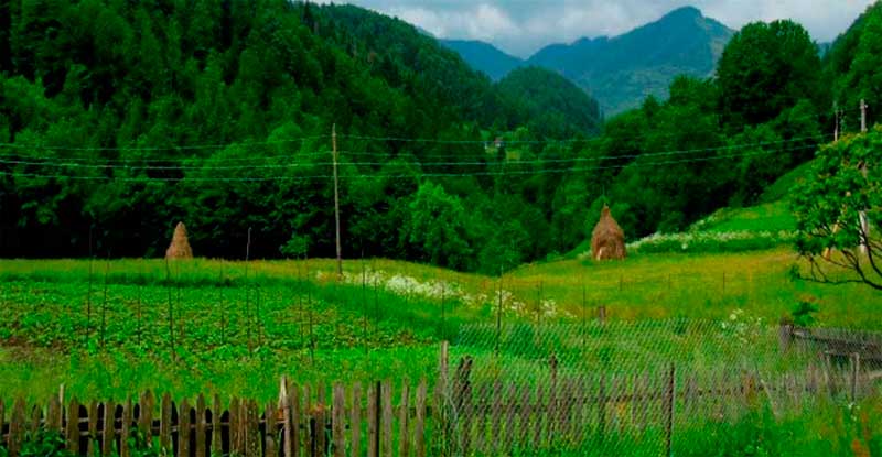bukovyna-putylschyna-roztoky-smuharivska-dolyna