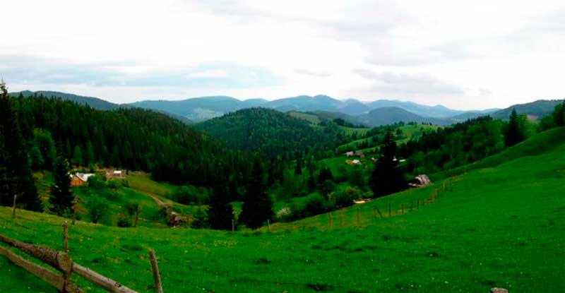 bukovyna-putylschyna-shepit