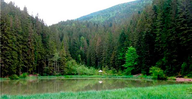 bukovyna-putylschyna-bukovynski-karpaty