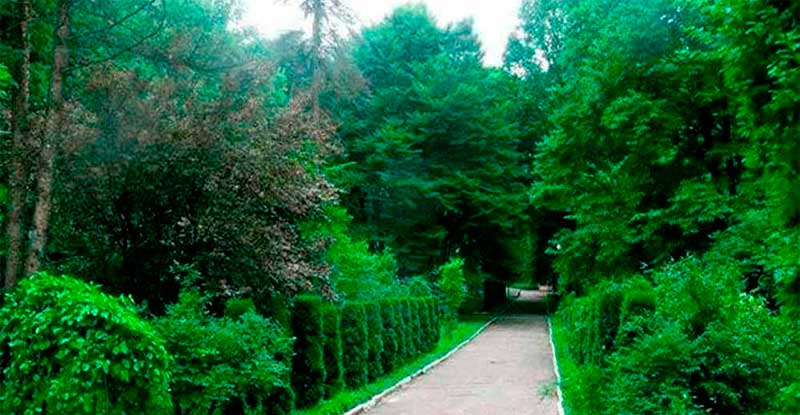 bukovyna-storozhynechchyna