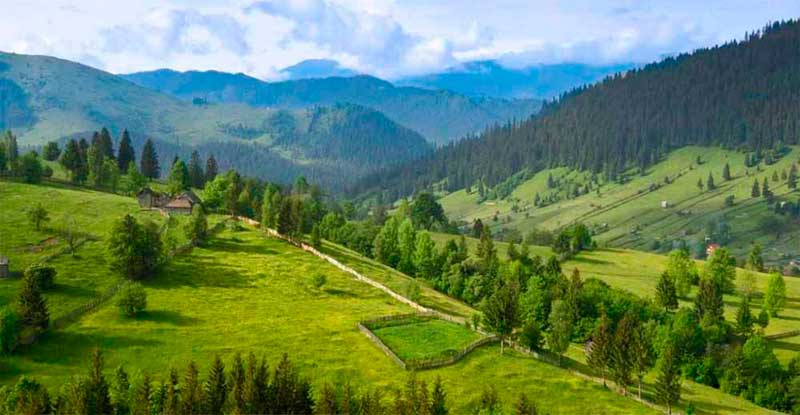 bukovyna