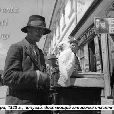 chernivtsi-ta-stalin